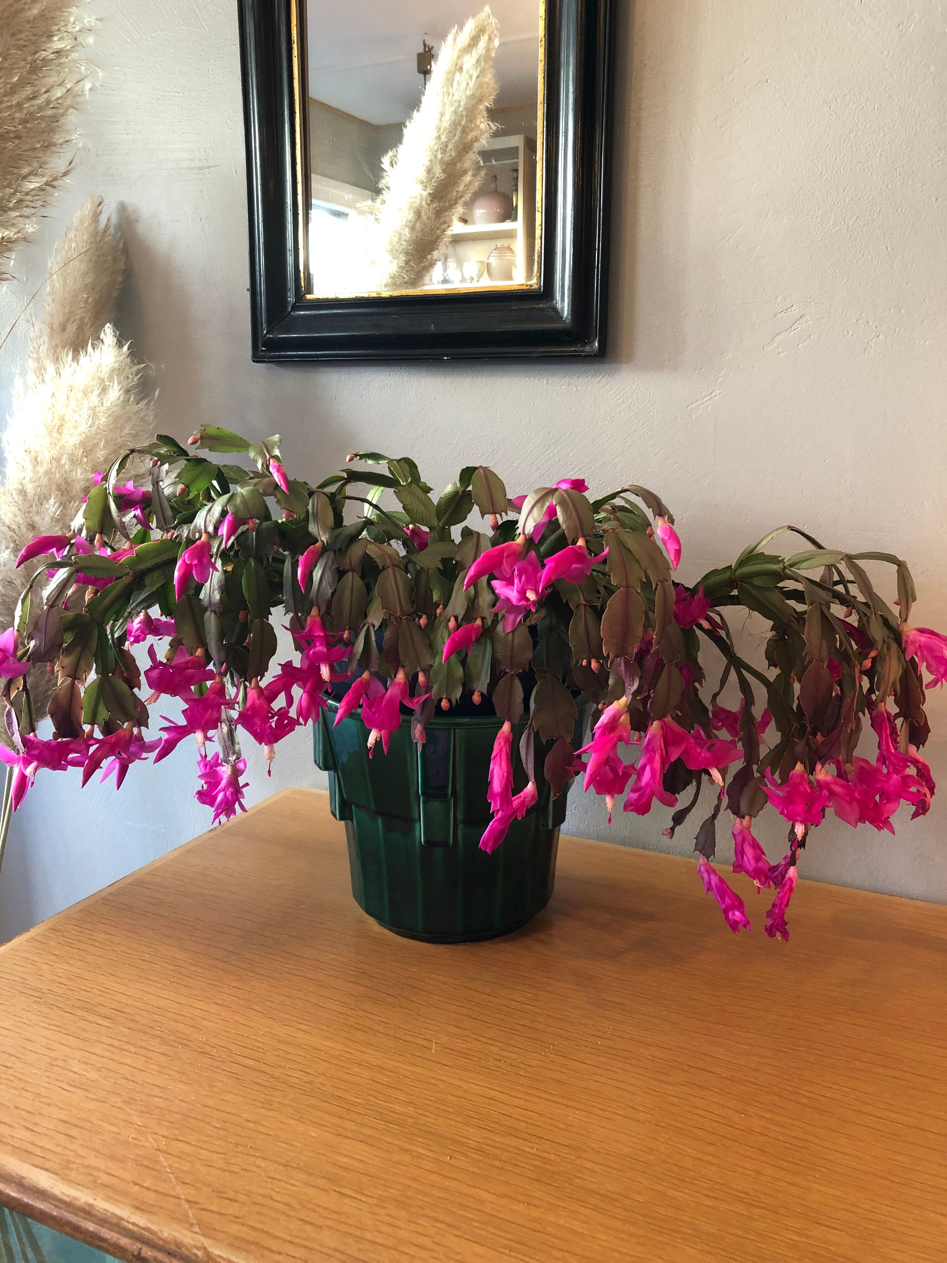Pot cover in ancient earthenware