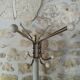 Coat rack