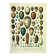 Antique engraving 1897 A. Millot - Eggs, birds, animals, zoology