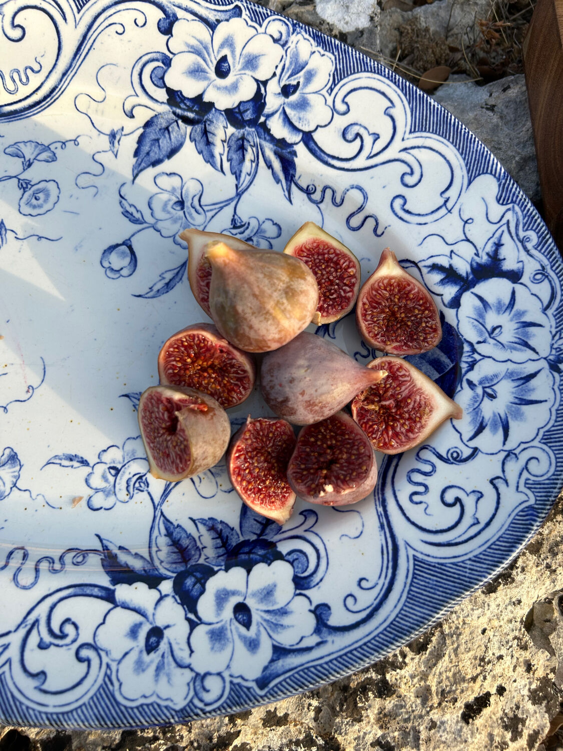 Flora Creil and Montereau dish 1880