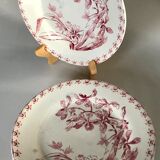 Lot of 6 plates Gien Iron Earth