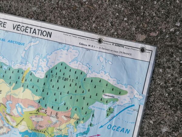 Planisphère mappemonde vintage physique et végétation