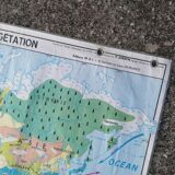 Planisphere world map vintage physics and vegetation