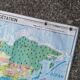 Planisphere world map vintage physics and vegetation