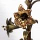 Paire de lampes "fleurs"