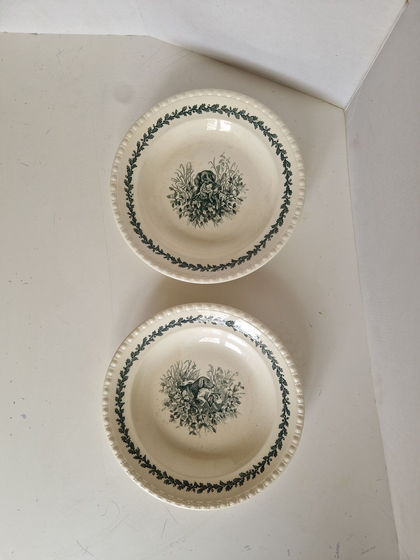 Set of 2 Deep Plates Villeroy and Boch Model Diana