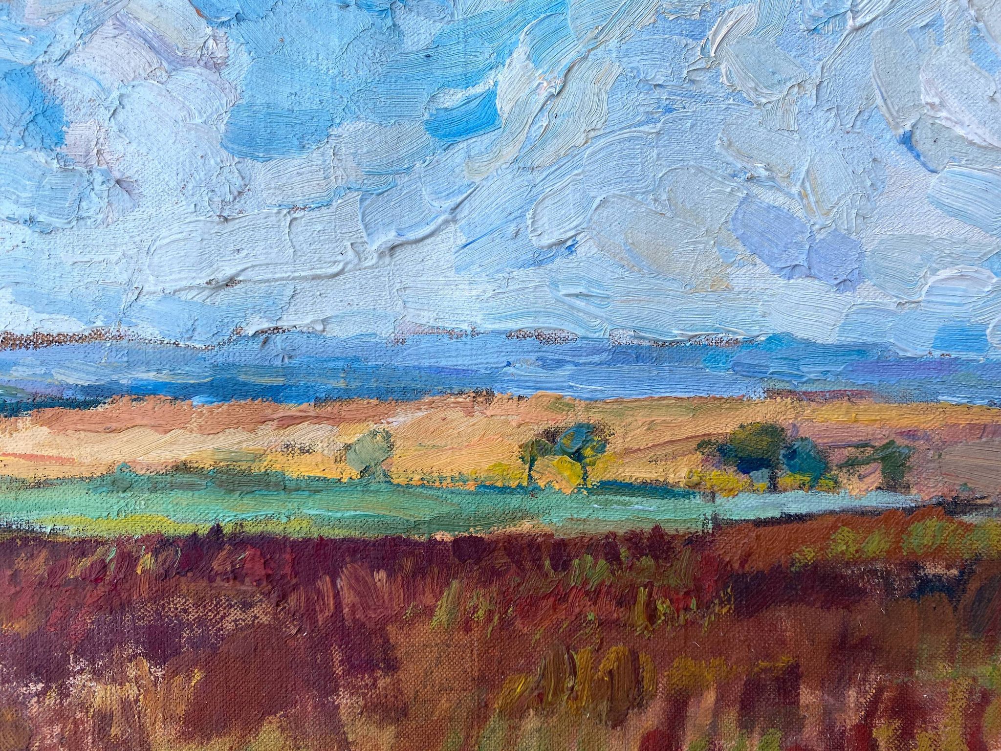 HST painting "Countryside landscape" Fields and valley in summer