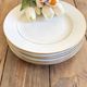 6 flat plates in cottage porcelain