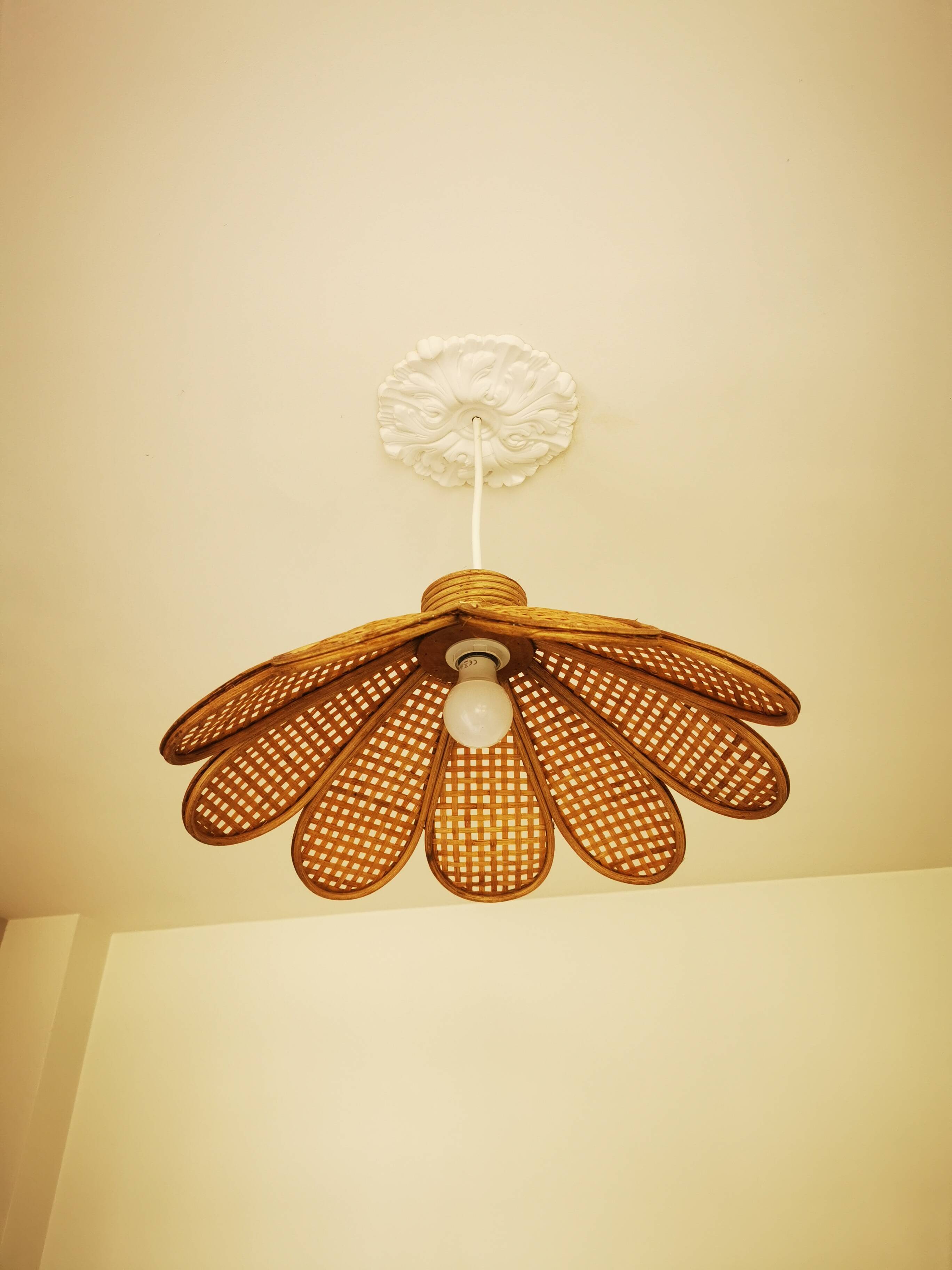 Bamboo rattan suspension and canning