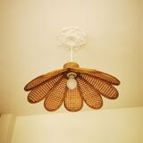 Bamboo rattan suspension and canning