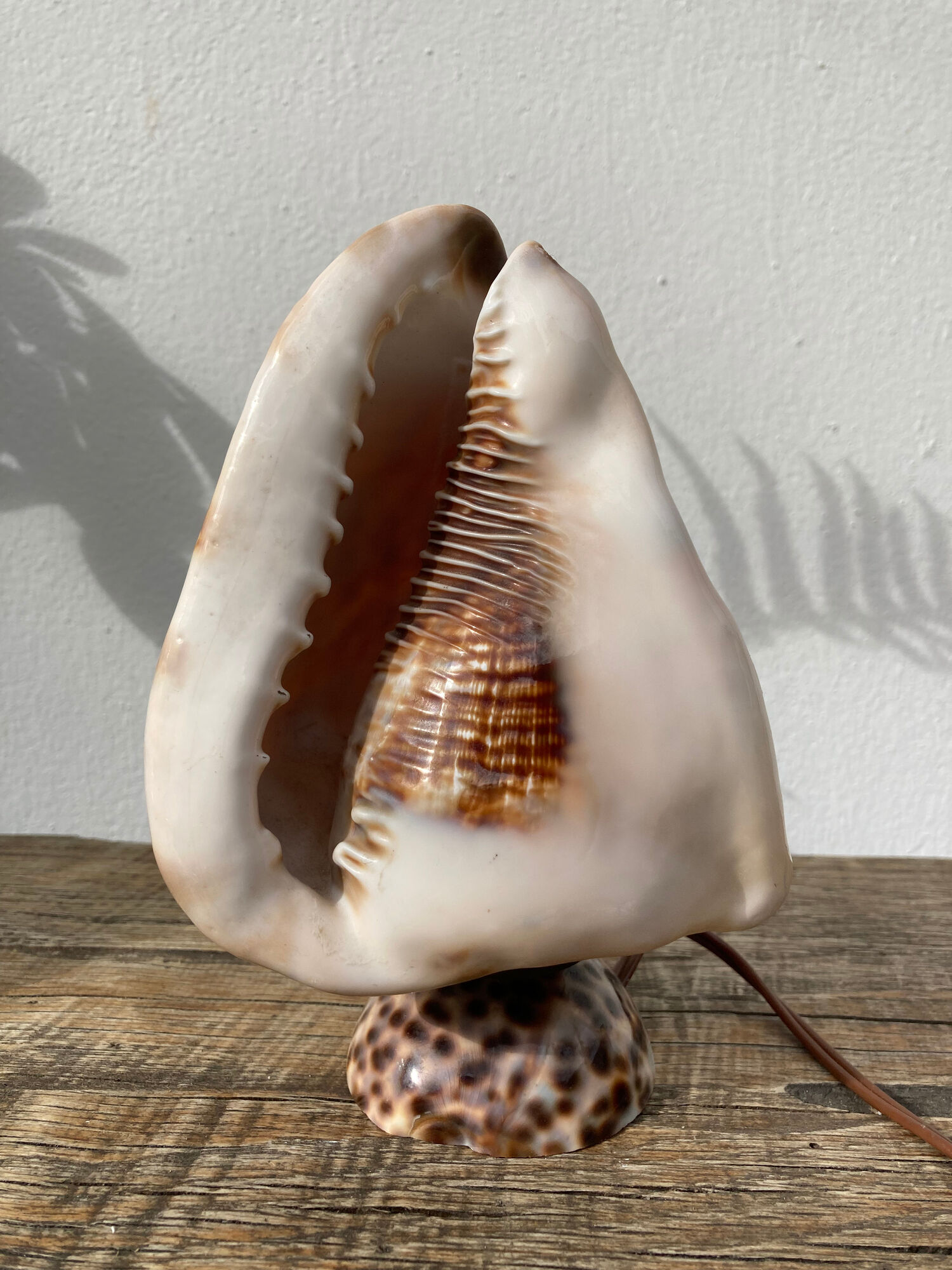 Shell lamp 1970 vintage mother-of-pearl to pose or bedside