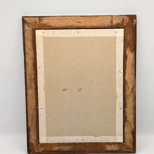 Starling engraving of the Magellanic lands