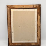 Starling engraving of the Magellanic lands