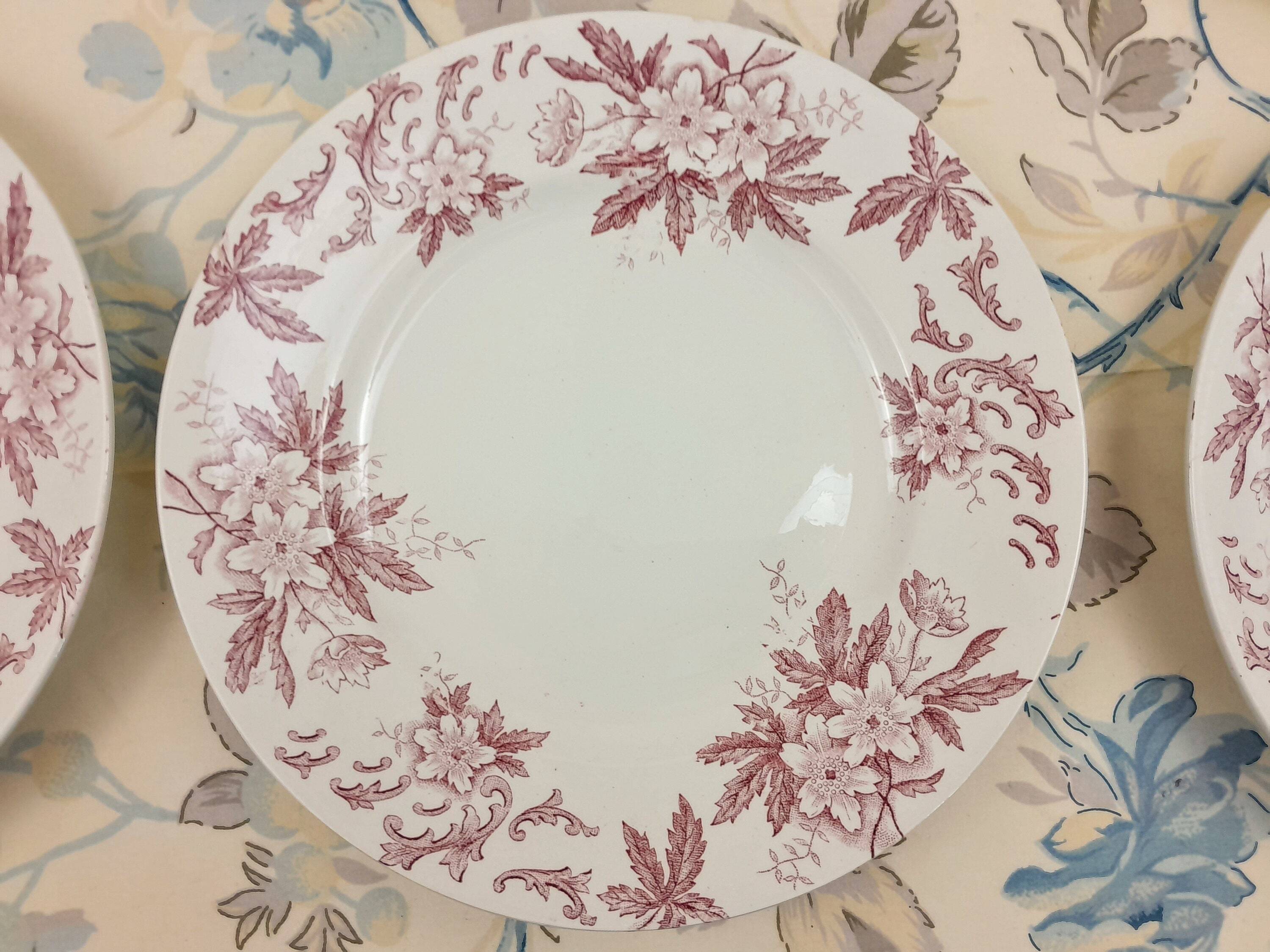 6 Amandinoise Anemone flat plates
