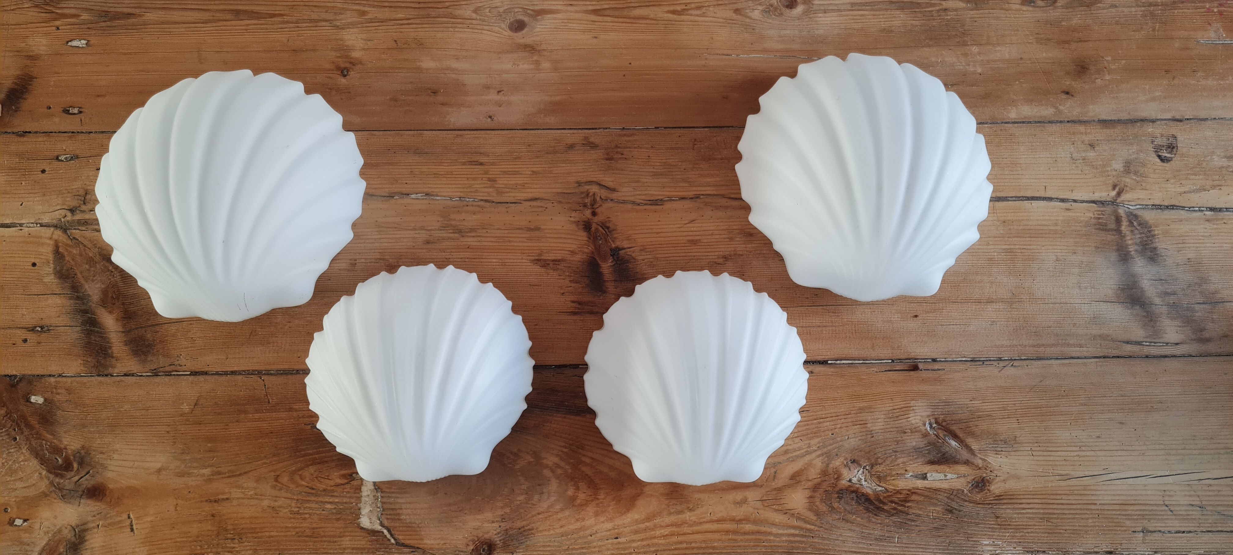 White opaline shell wall lamp