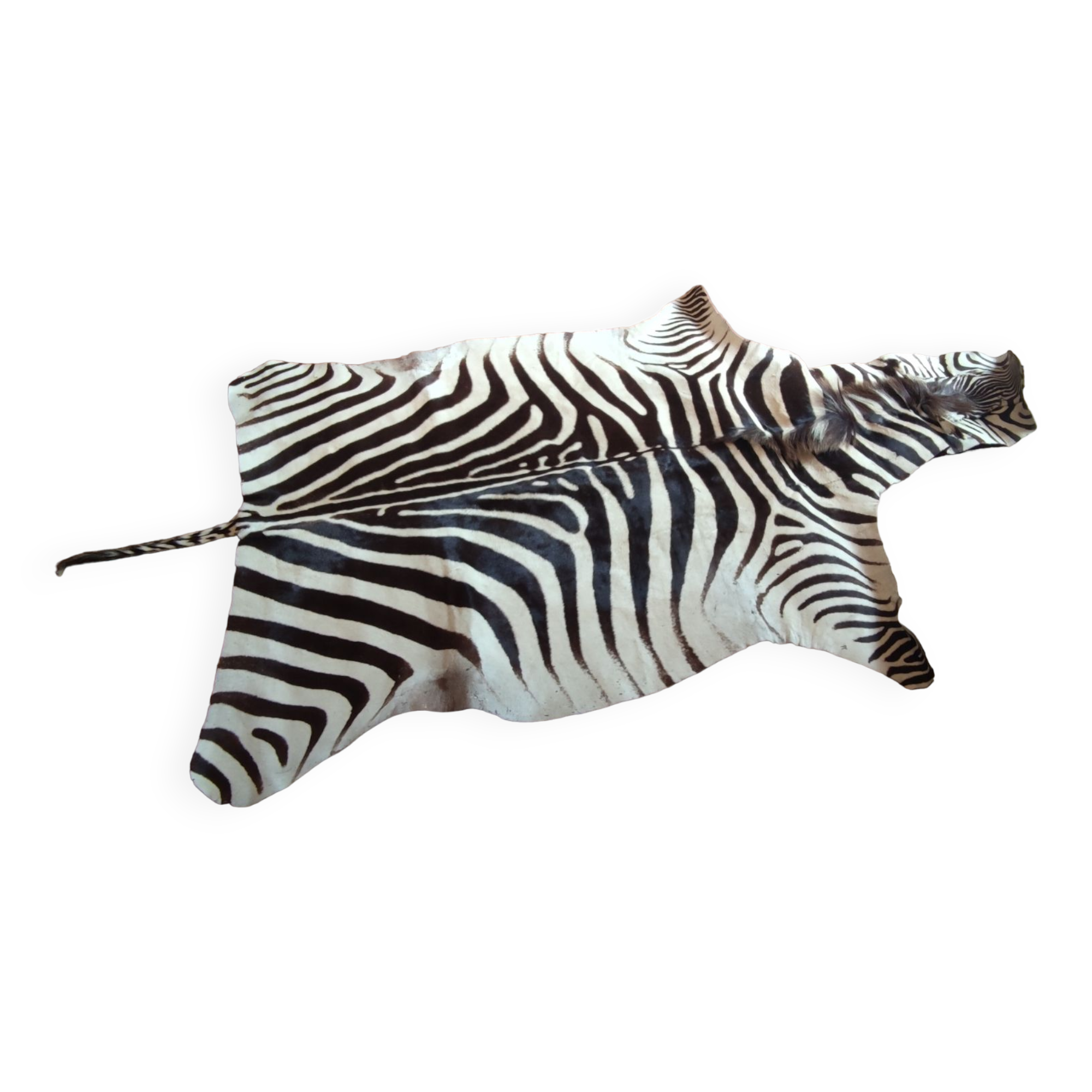 Zebra skin rug
