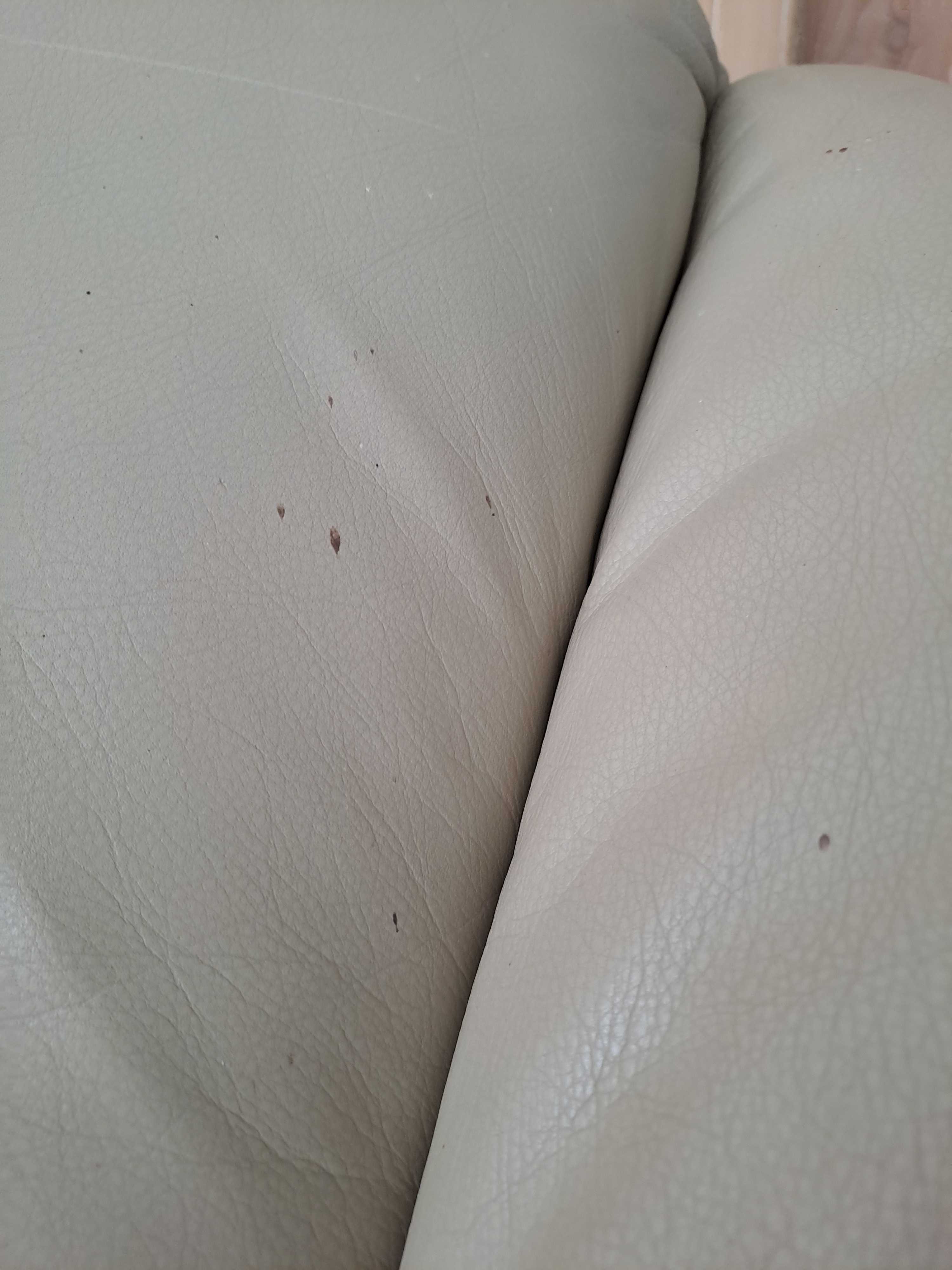 Pair of Leolux design armchairs