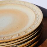 Marsh sandstone plates