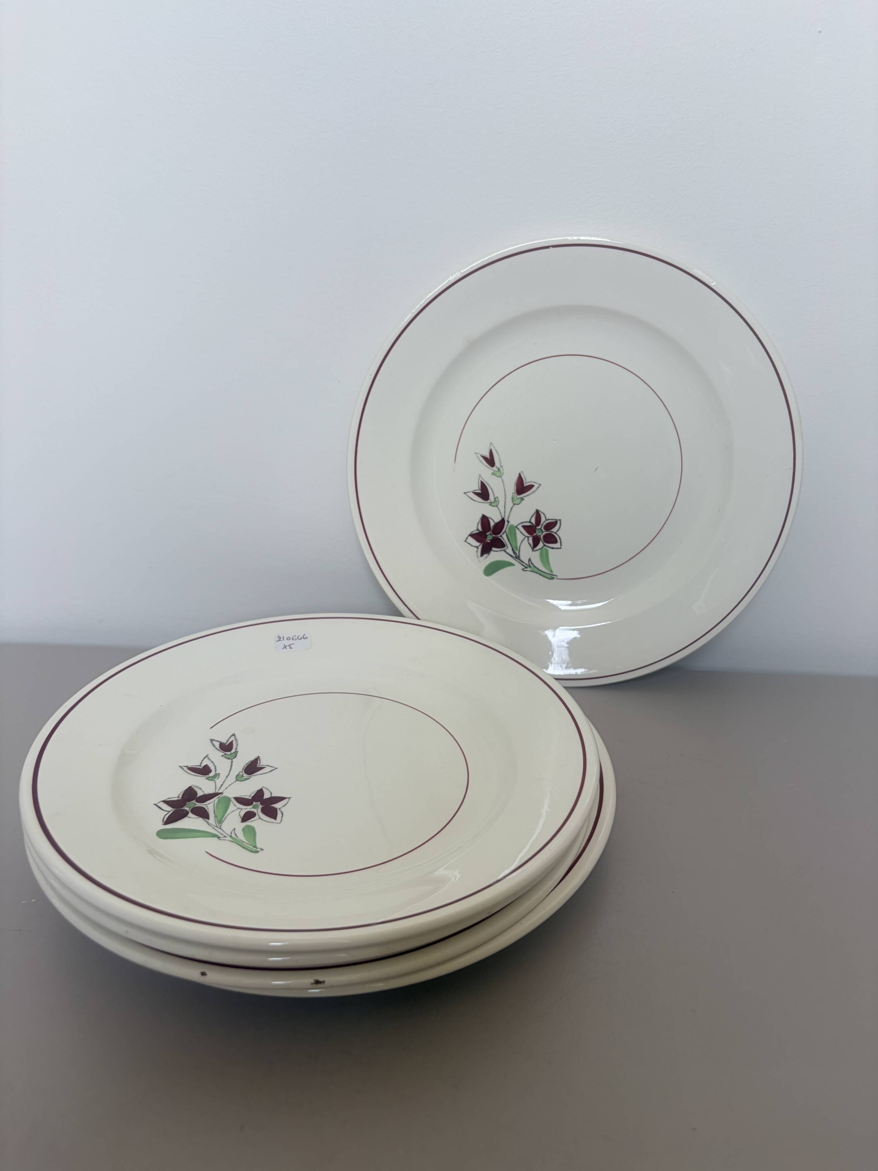 5 flat plates from Salins 210646