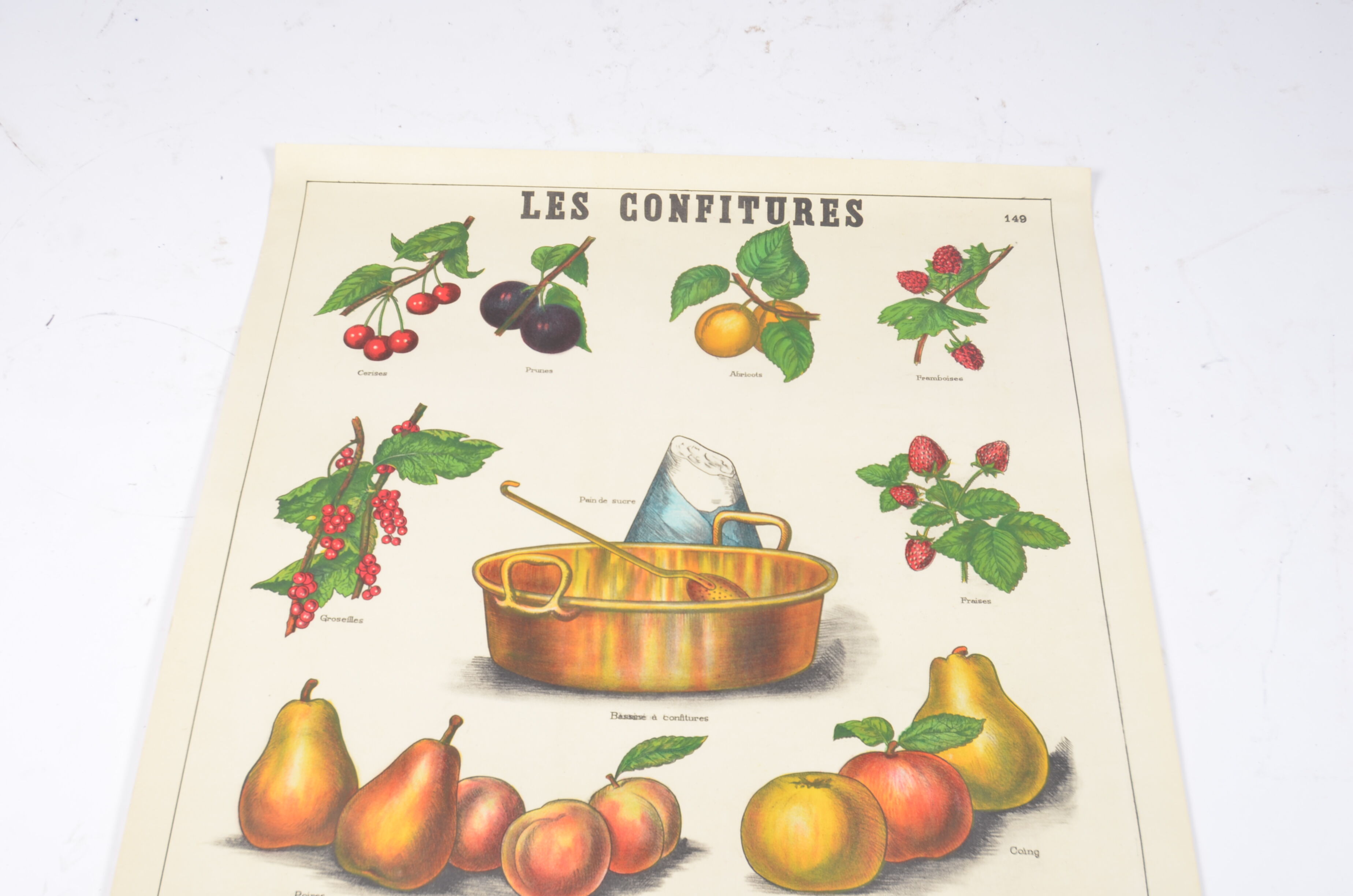 Poster Deyrolle "the compotes"