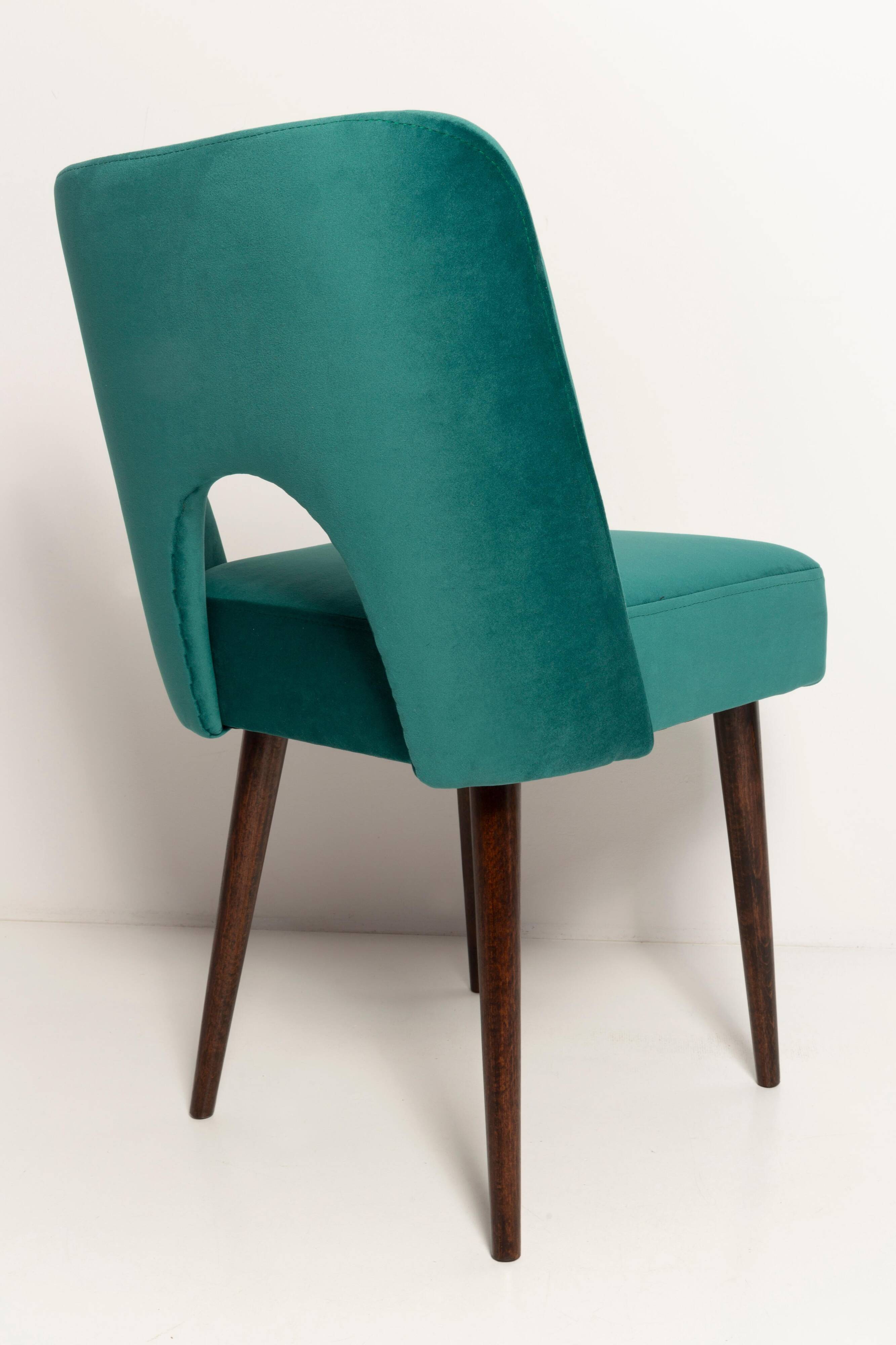 Chaise « shell » en velours crème et bois, Pologne, 1960s