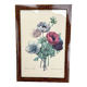 Vintage frame drawing of anemones by Redouté.