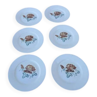 6 flat plates "choc"