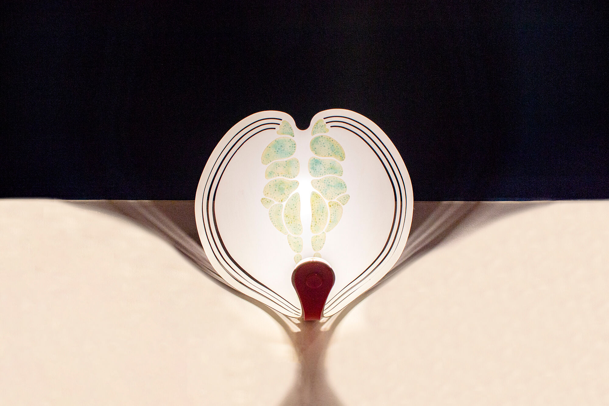 Wall lamp Ferdi Giardini  model Cobra Pezzo Unico Italy 2008