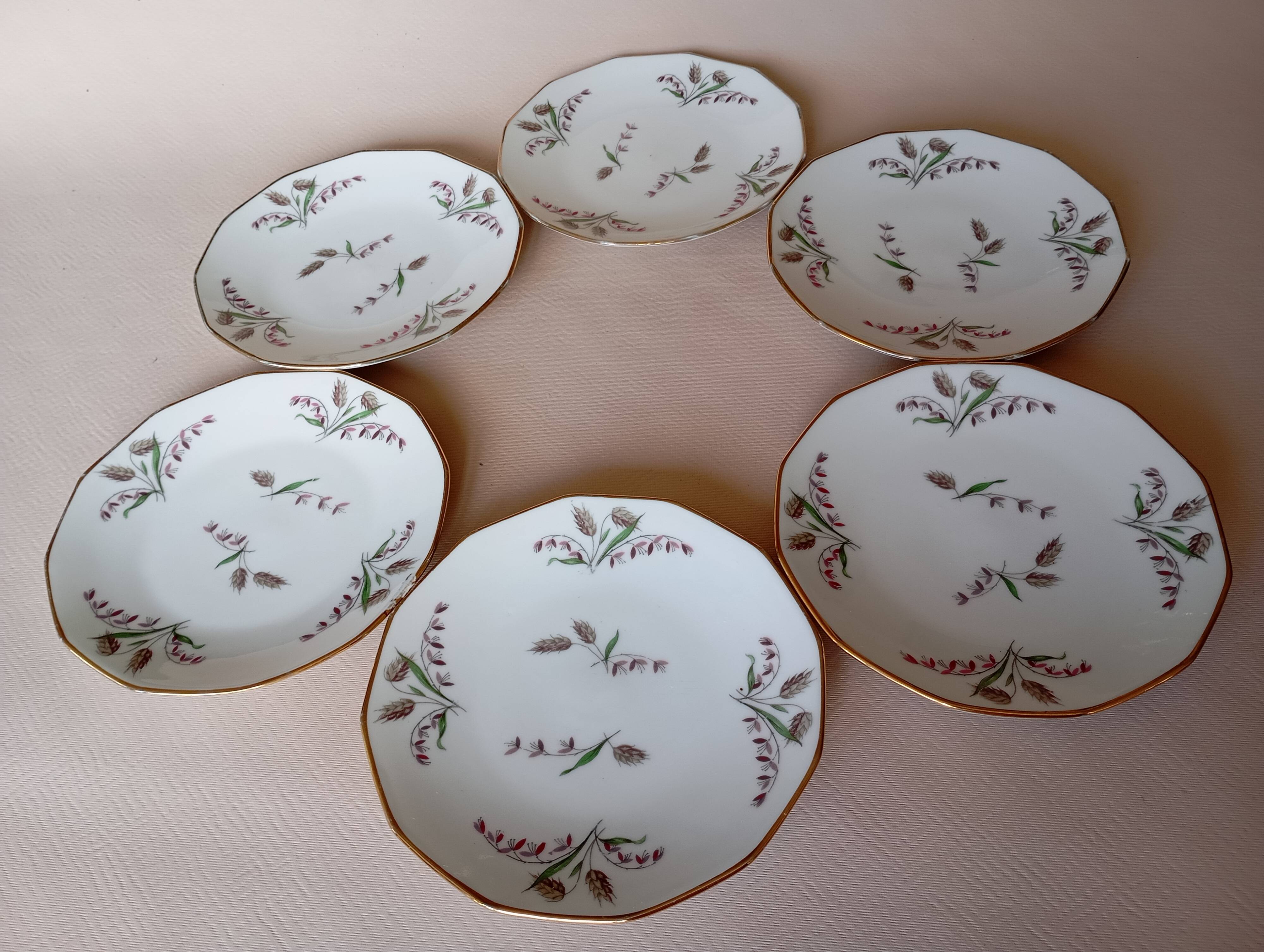 6 Limosa hard porcelain dessert plates (Limoges)