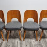 Dining Chairs by Oswald Haerdtl, 1950s, Set of 4