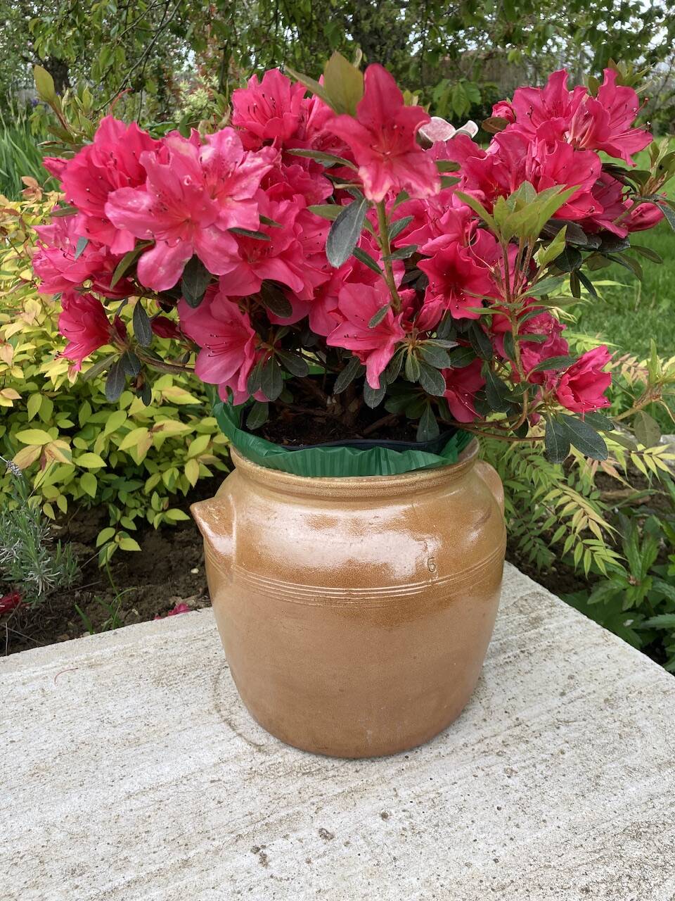 Brown stoneware jar pot