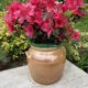 Brown stoneware jar pot