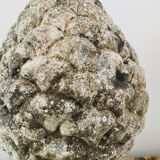 Pair of stone pine cones