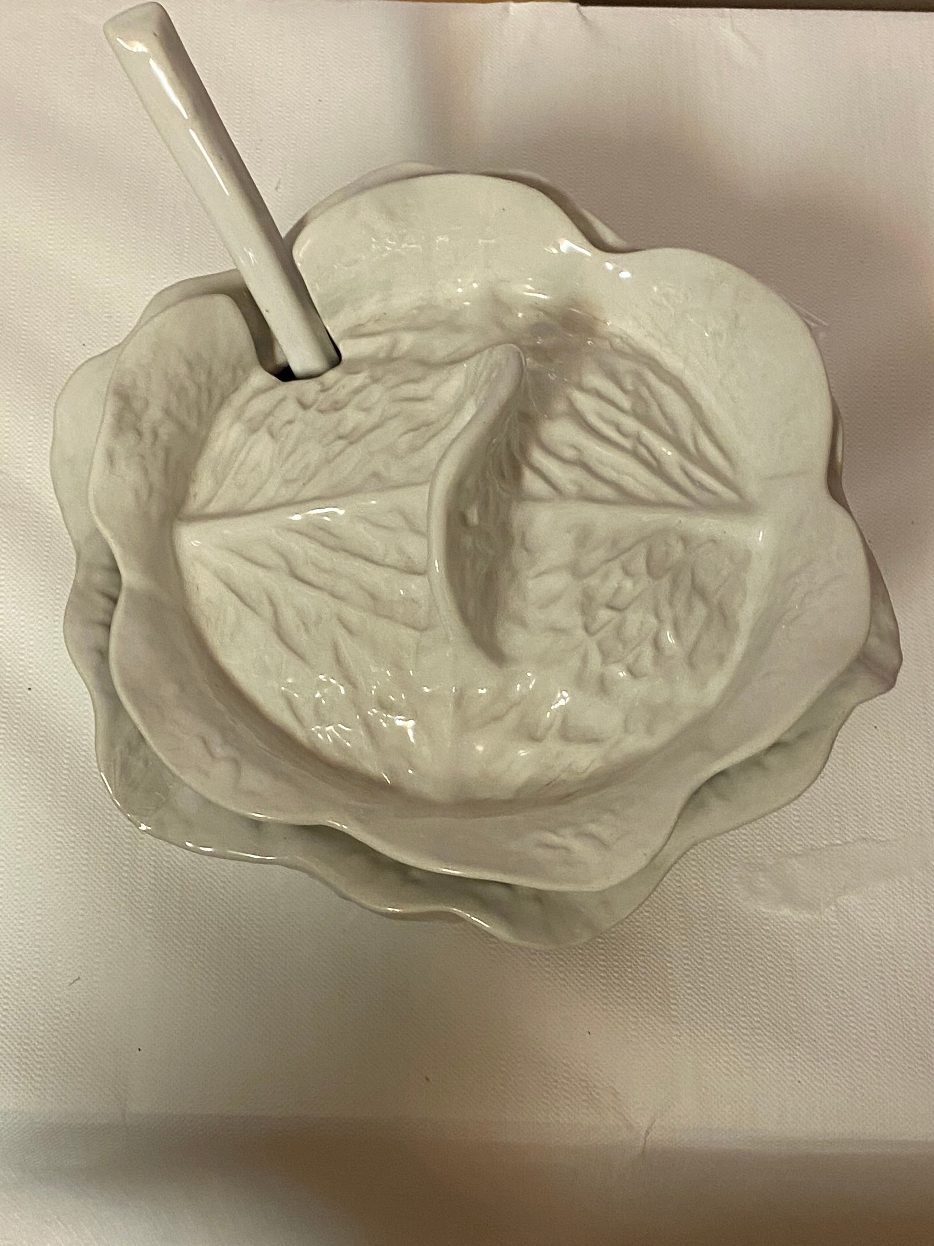 Cabbage soup with ladle