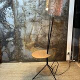 Double foot lamp compass and harness