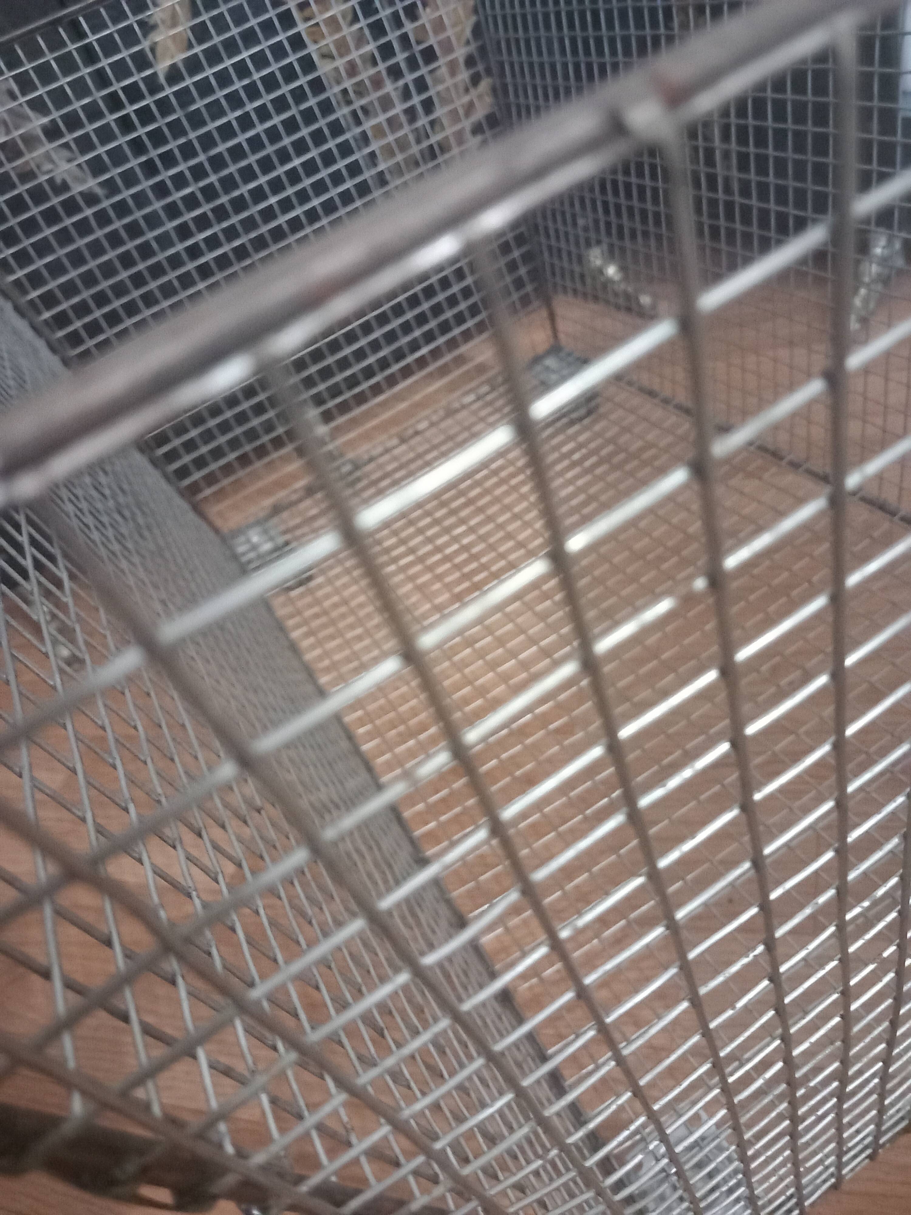 Large locker on wheels