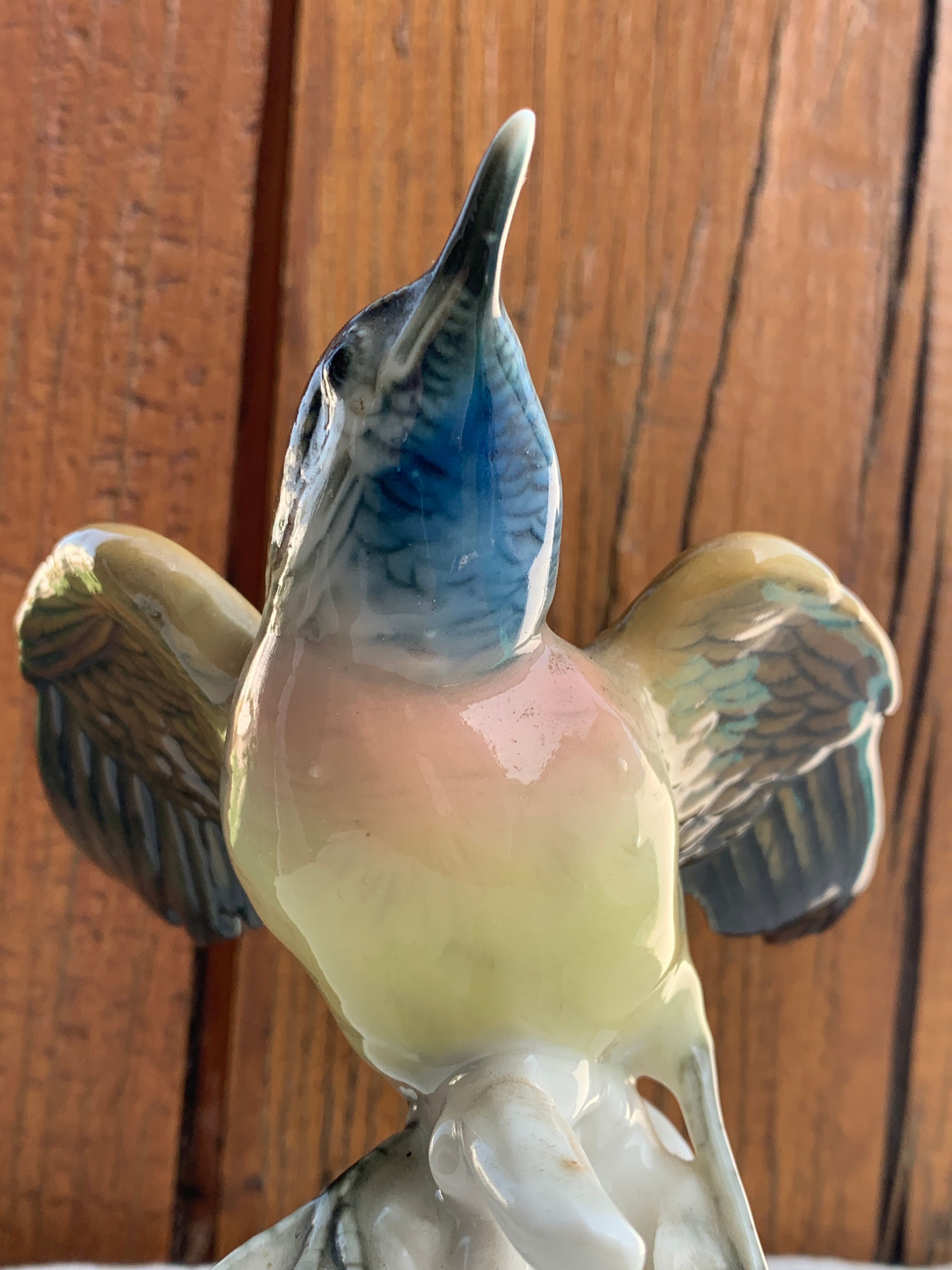 Bird numbered and signed Karl Ens, in Saxon porcelain, nineteenth century