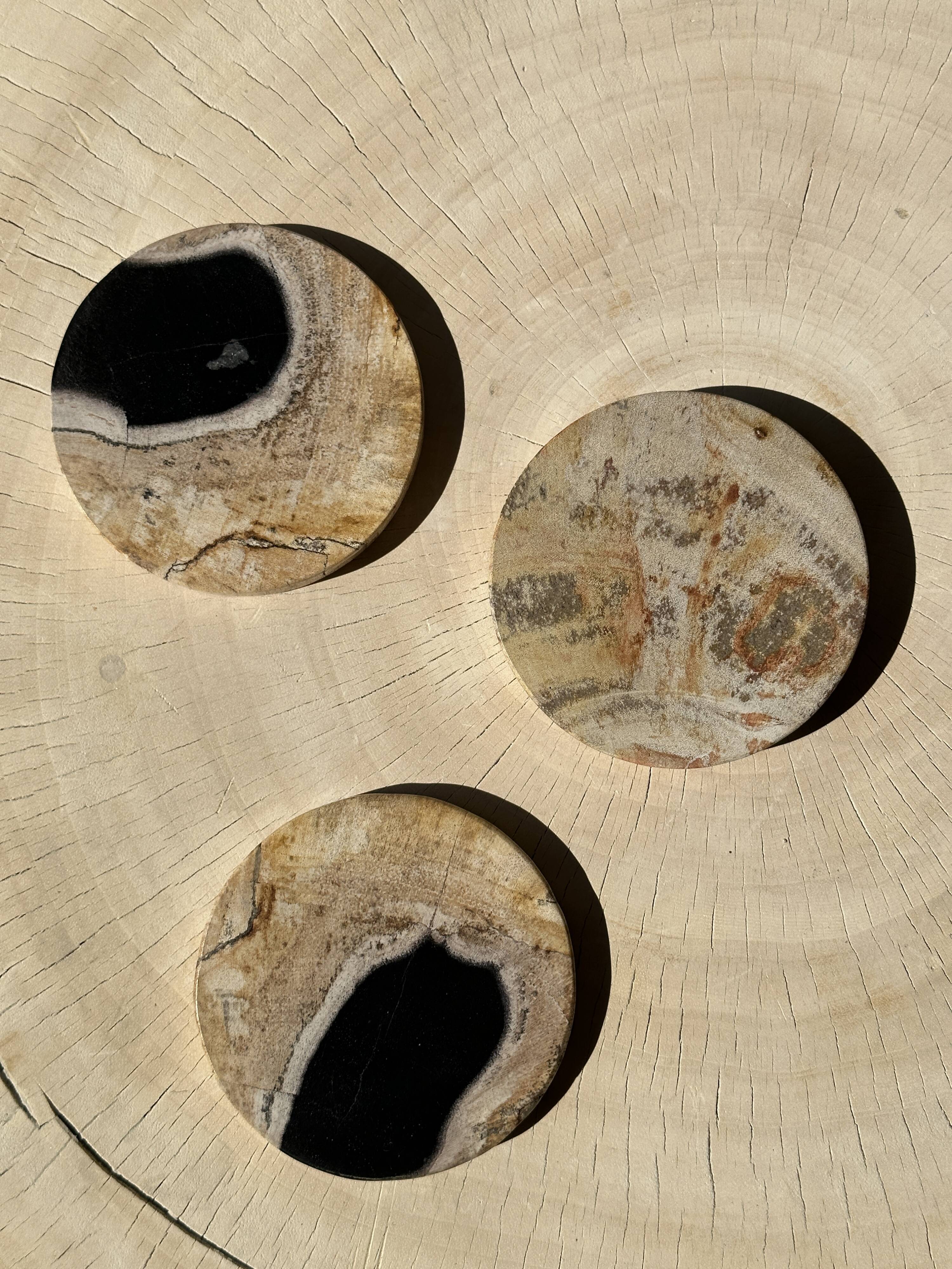 Set of 3 fossilized wood coasters (clear)