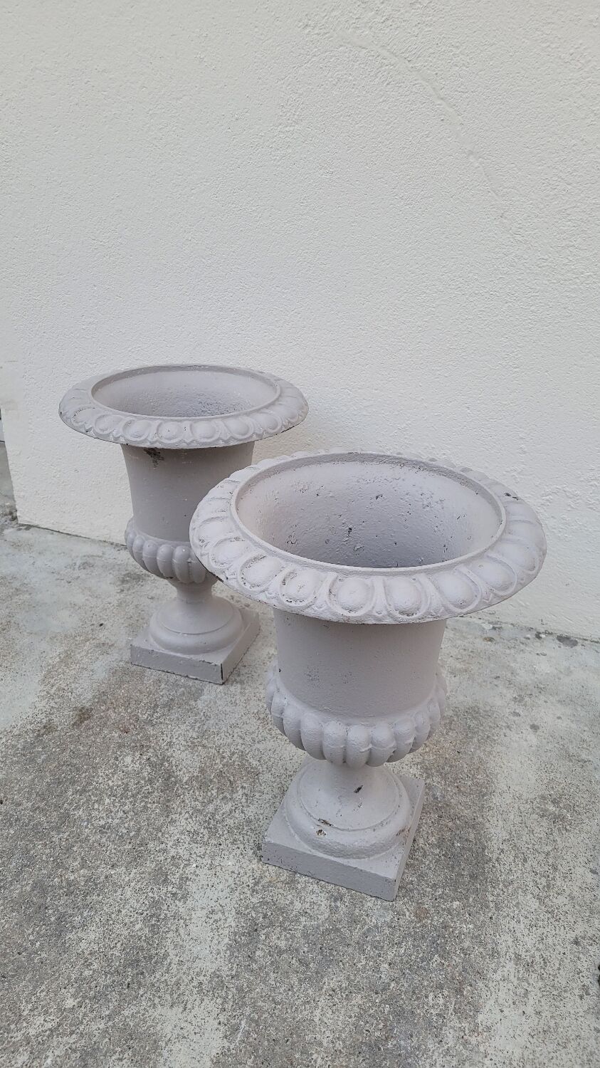 Pair of 19th century cast iron medicis vases
