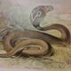Affiche scolaire d'histoire naturelle