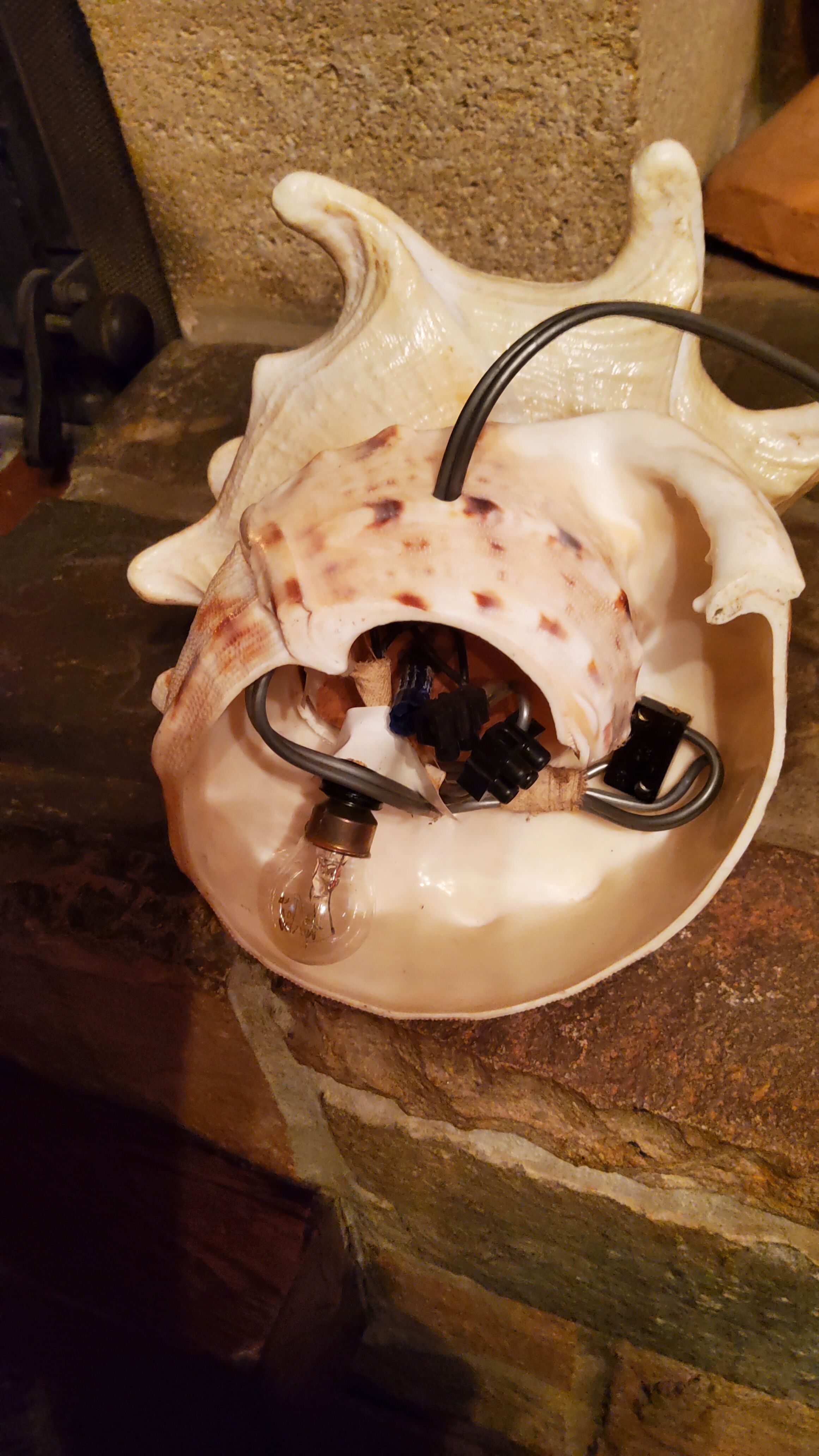 Shell lamp from the 50s