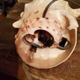 Shell lamp from the 50s