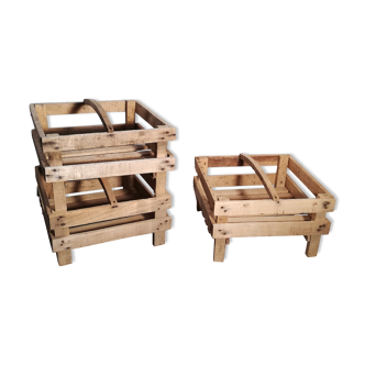 Trio de plateaux maraîchers