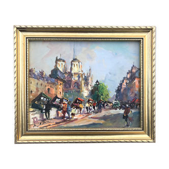 Paris quai Saint Michel