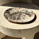 Very large empty pocket or dish in petrified wood