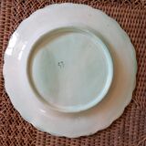 Plate asparagus slurry