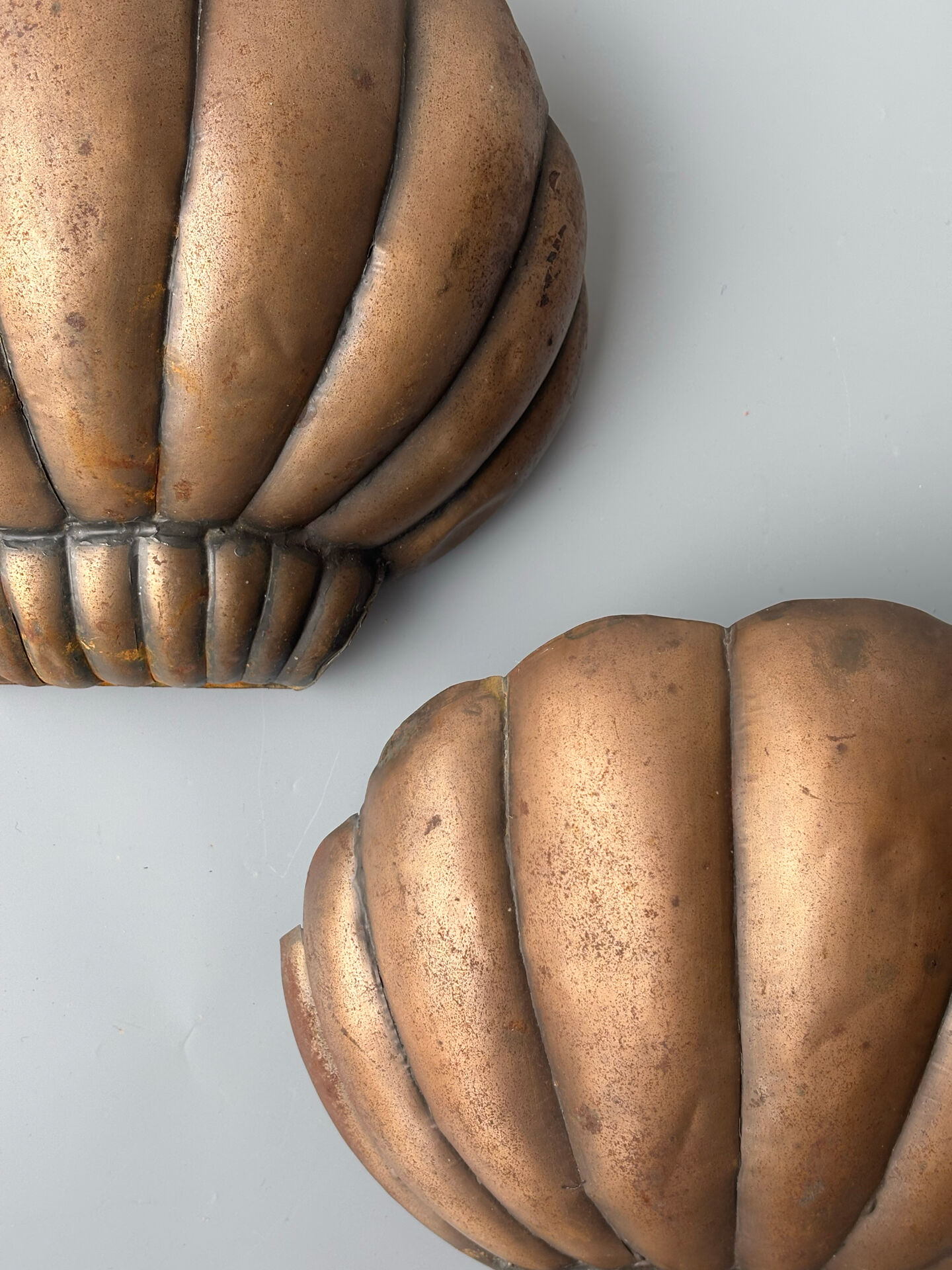 Paire d’appliques coquille Saint-Jacques 1960