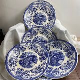 Ironstone Plates
