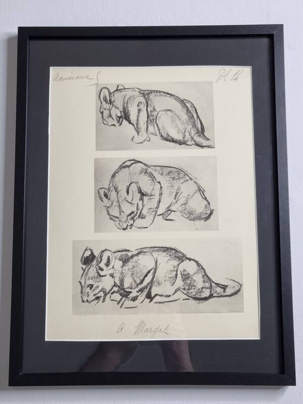 Planche illustrée, Études de lionceau esquisse, Signée André Margat, 1930
