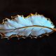 Vide poches  porcelaine Limoges